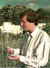 Mark Bernstein